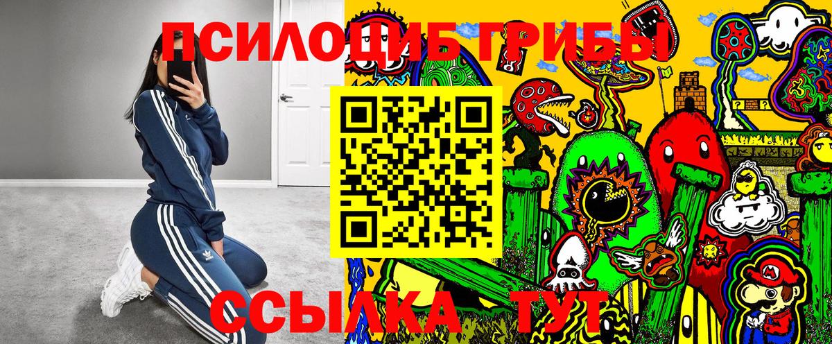 Галлюциногенные грибы прущие грибы Сыктывкар