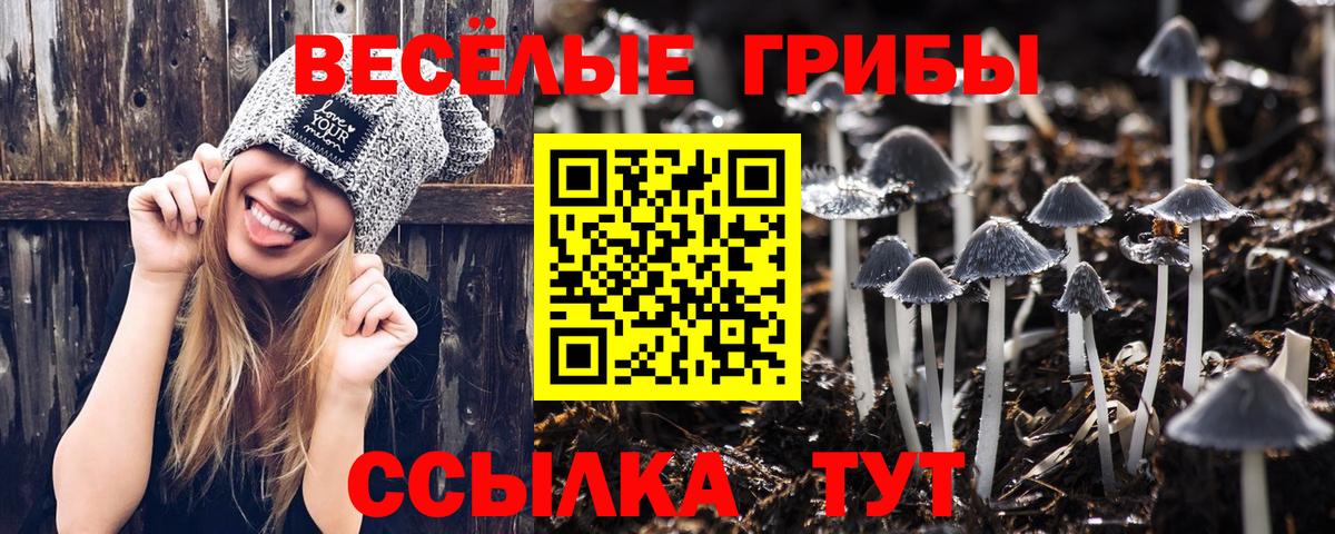 Галлюциногенные грибы Cubensis  Галлюциногенные грибы Psilocybe  Сыктывкар  Вход с VPN 